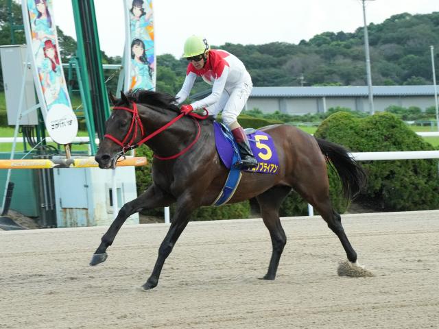 【佐賀・九州チャンピオンシップ結果】アエノブライアンが4馬身差完勝 重賞3勝目