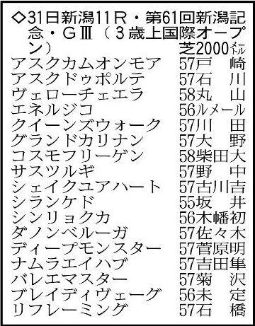 【新潟記念展望】3連勝で青葉賞を制したエネルジコが中心