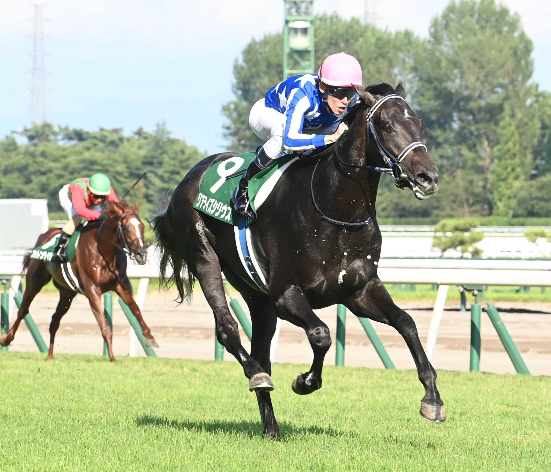 【新潟２歳Ｓ】リアライズシリウス　津村期待の素質馬が圧勝！　課題も浮き彫りに「スタートが出なくて遅れたし、ゲートも嫌がっていた」