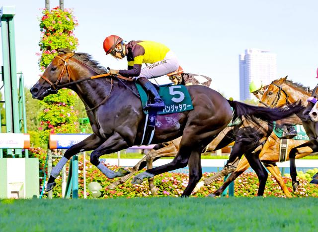 【キーンランドC】G1馬パンジャタワー完勝!　1着賞金5億円のゴールデンイーグルへ、レッツ豪!　松山弘平騎手は史上7人目全10場重賞制覇　