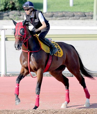 【新潟記念・ヤマタケの特注馬】前走が不完全燃焼のシランケド　得意舞台に漂う勝負気配で強敵たちを打ち崩す