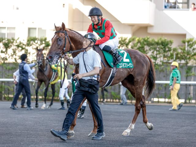 「サマー2000シリーズ」のゆくえは新潟記念で決まる 優勝馬が出れば4年ぶり