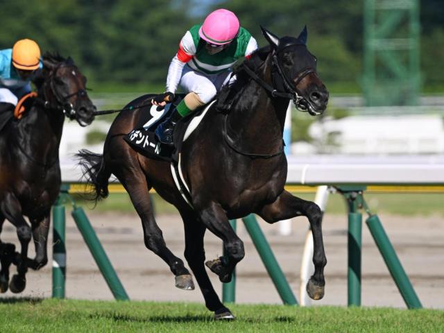 値下げ ナリタトップロード　菊花賞他場的中馬券 99年3強物語（3）】ナリタトップロード 渡辺薫彦・現調教師