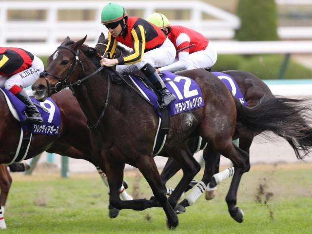 名牝グランアレグリアの初仔 グランマエストロが要注目のデビュー戦だ