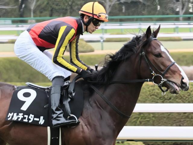 【日本海S】青葉賞3着のゲルチュタールが始動 菊花賞に弾みをつけるか