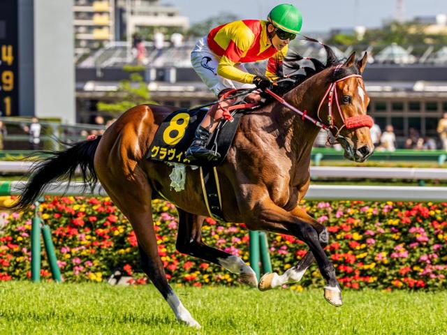【白川郷S】兄姉に海外G1馬が2頭 グラヴィスが連勝でオープン入りなるか