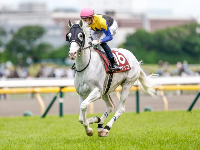 8月26日からハヤヤッコの見学開始 ノーザンホースパークが公式Xで発表