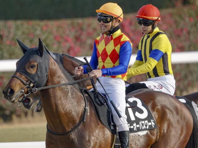【名古屋城Ｓ】ケンタッキーダービー5着の実力馬 テーオーパスワードが7カ月ぶりの復帰戦だ