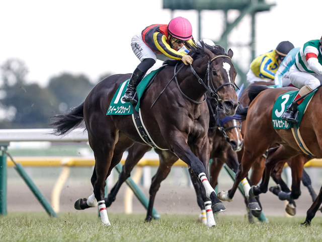 【新潟記念展望】名物ハンデ重賞が別定戦に変わって豪華メンバーが揃う一戦