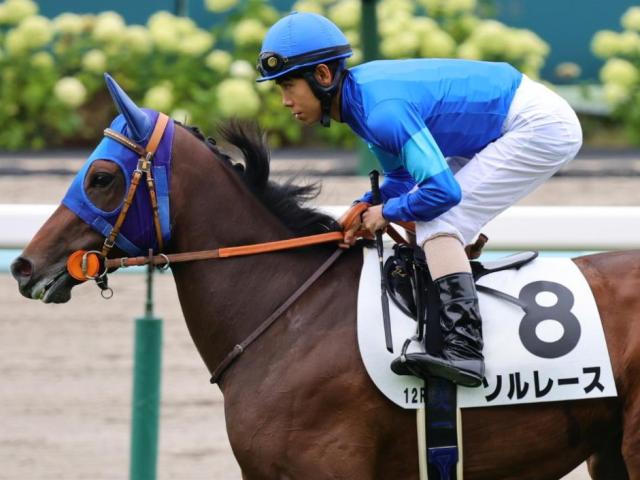 【雷光特別】11戦中10戦で馬券圏内の堅実派 ソルレースが待望の3勝目なるか