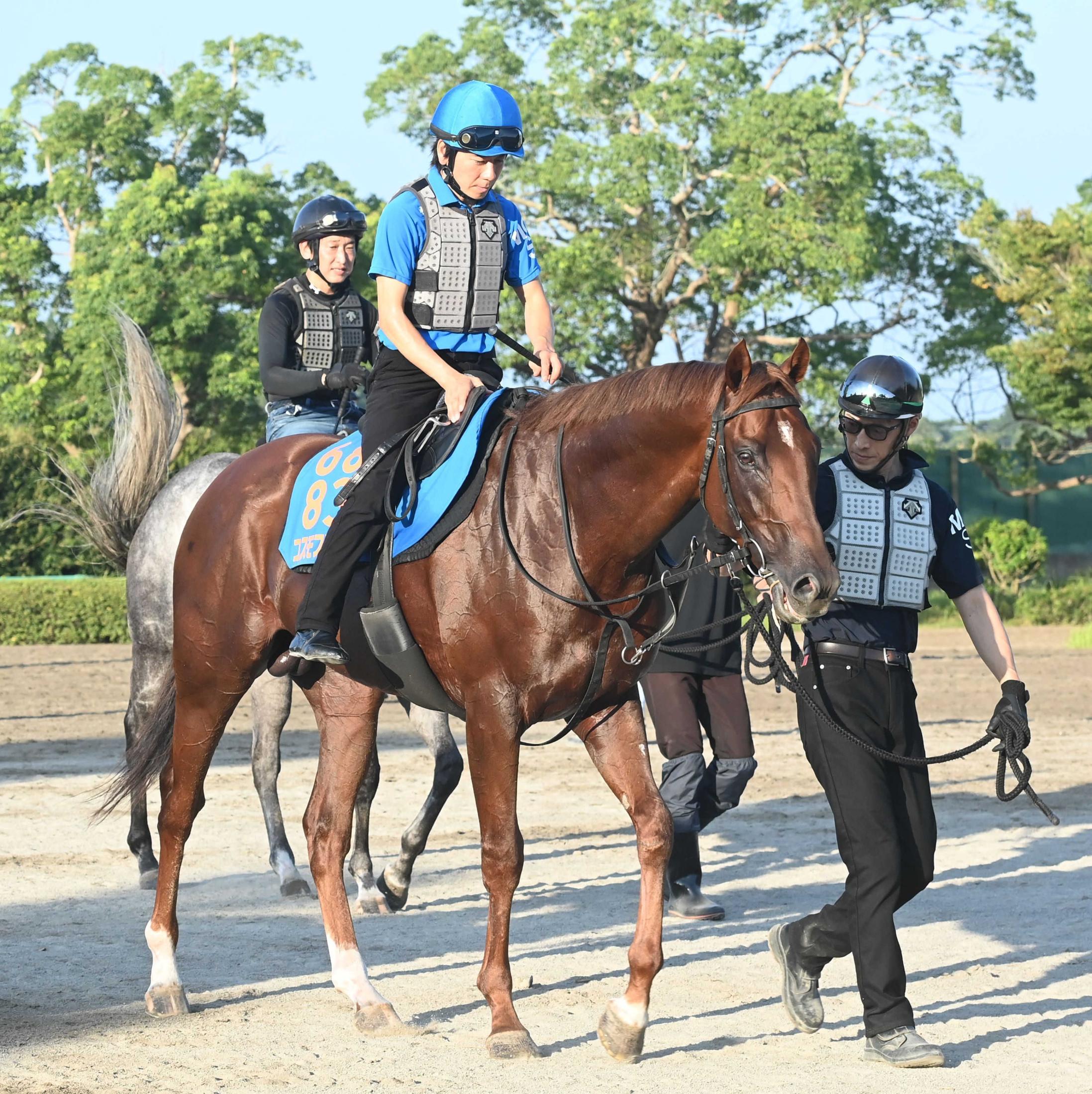 京都記念、菊花賞馬アサクサキングスが復活V | 競馬ニュース