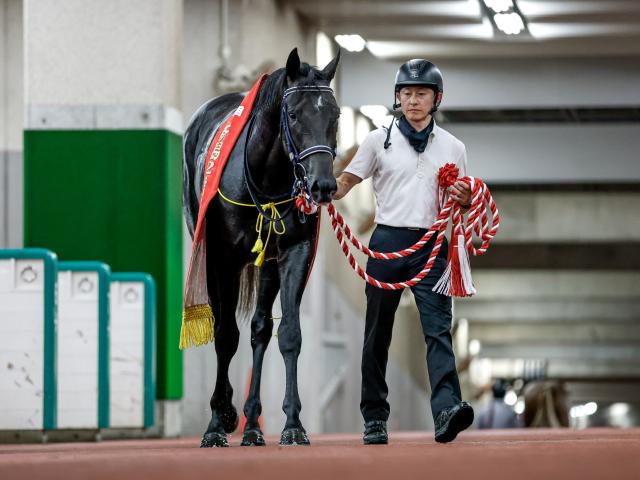 【新潟2歳S】売上は38億9352万2300円で昨年より約5億円減少