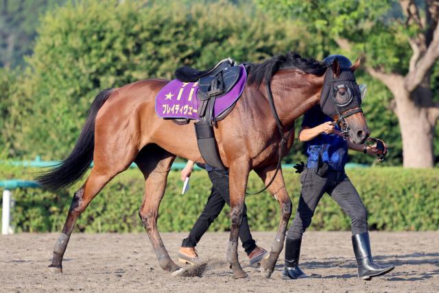 【新潟記念】5戦ぶり重賞3勝目を狙うブレイディヴェーグ　宮田調教師「前半のリズムが大事」