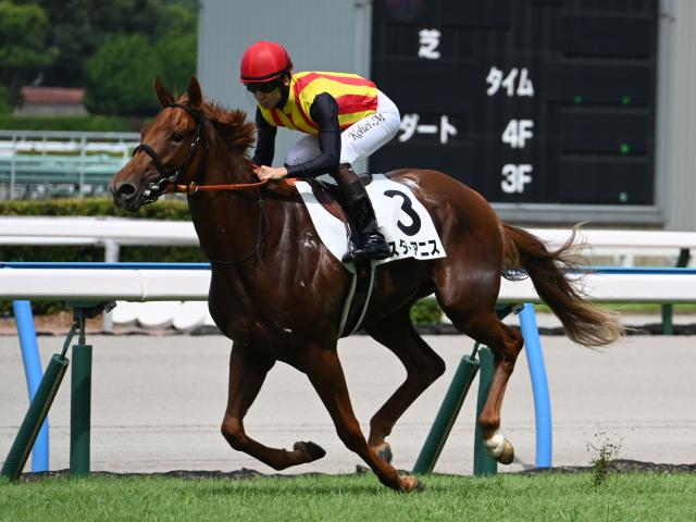 【中京2歳S予想オッズ】スターアニスが予想1番人気