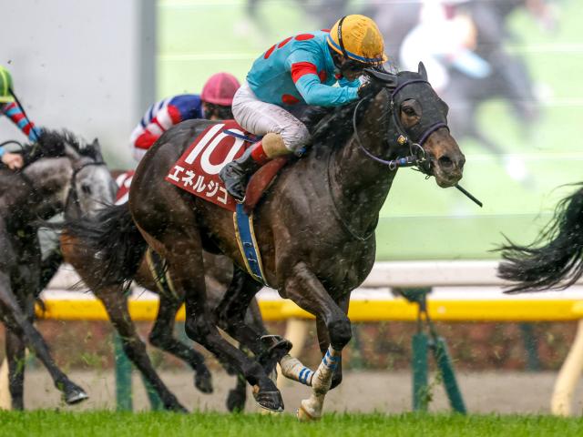 【新潟記念予想オッズ】エネルジコが予想1番人気