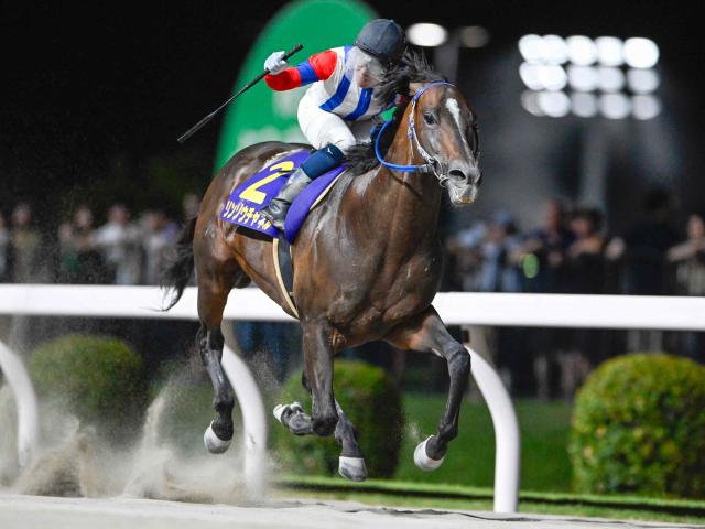 【川崎・スパーキングサマーC結果】リンゾウチャネルが4馬身差V！重賞6勝目を挙げる