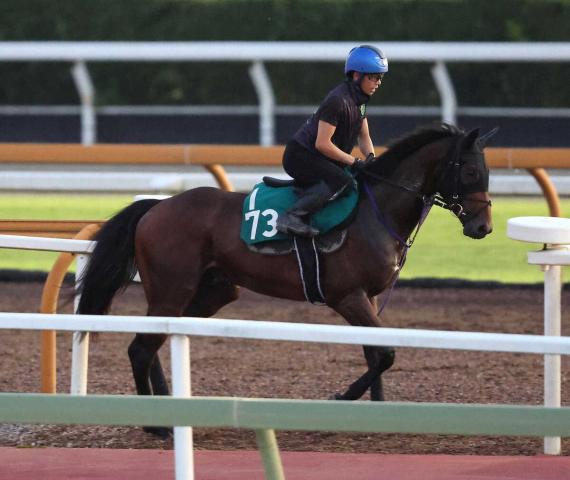 【中京2歳S】アイルトン　叩いて良化気配　佐々木師「重賞でも楽しみ」