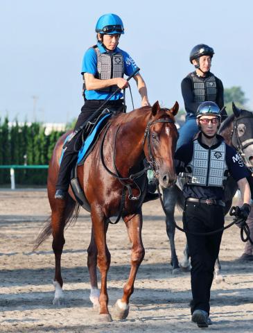 【新潟記念】最終戦勝てばサマー2000シリーズ逆転Vのコスモフリーゲンは視界良好「順調にやれている」