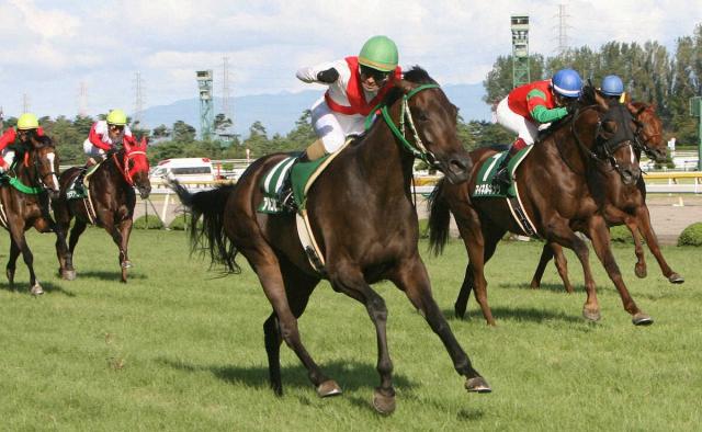 【追憶の新潟記念】08年アルコセニョーラ　16番人気馬、衝撃の快走　武士沢現教官の右手が上がった