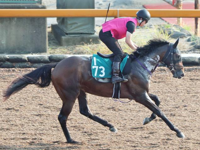 【中京2歳S】新種牡馬の父ダノンスマッシュから“スプリンターらしさ”受け継ぐアイルトンが初タイトル届ける