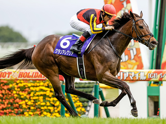 グランアレグリアの初仔が芝1400mで初陣 同距離デビューから中長距離GIを制した馬は？