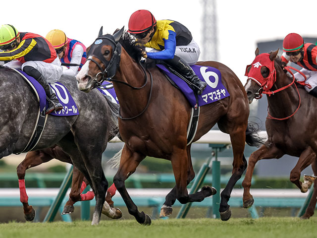 【セントウルS想定】ママコチャやトウシンマカオなど14頭