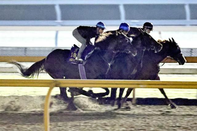 仏遠征控えるクロワデュノールが国内最終追いで確かな上昇示す　北村友一騎手「先週よりもすごく良くなっている」