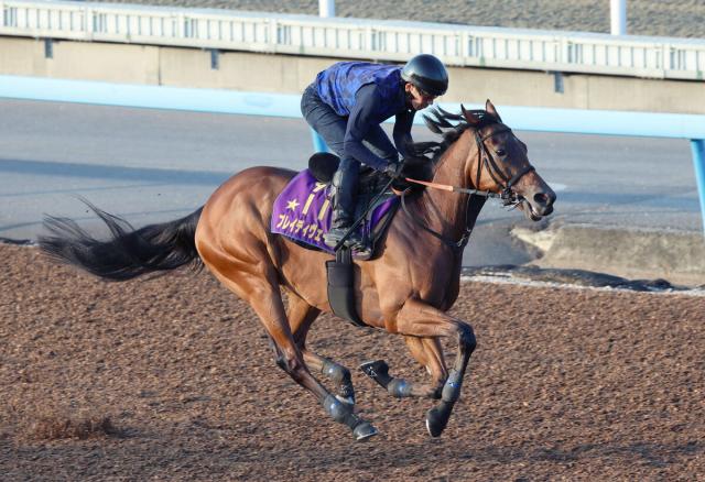 【新潟記念】ラスト11秒1のブレイディヴェーグがさすがの動き　宮田調教師「仕掛けると弾むような感じ」