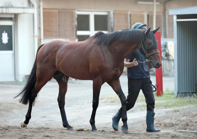 【注目馬動向】G3で連続2着のドゥラドーレスはオールカマーへ