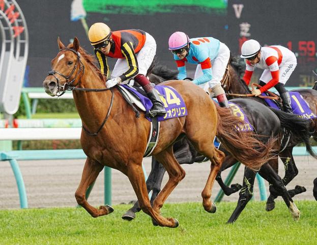 皐月賞馬ジオグリフ引退　優駿スタリオンステーションで種牡馬入り