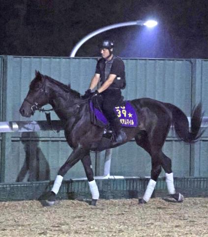 【注目馬動向】皐月賞馬のミュージアムマイル　秋初戦のセントライト記念は戸崎圭太騎手と初コンビ