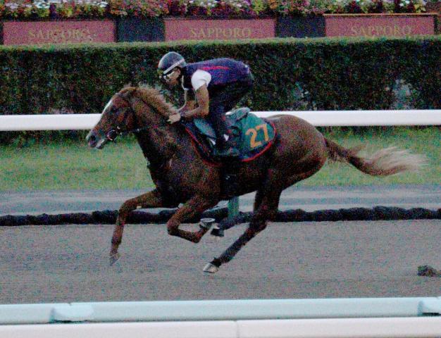 【札幌2歳S】G1馬の全弟ロスパレドネスが迫力のある脚さばき　陣営「元気なのが何より」