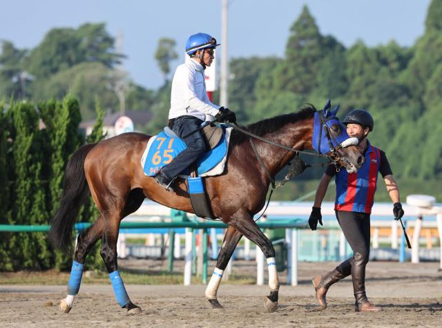 【京成杯AH・1週前】昨年12月から戦線離脱中の柴田善臣騎手がタイムトゥヘヴンで出走へ　「馬を信じて乗る」