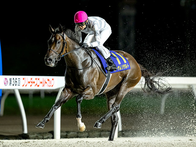 「9戦8勝馬」vs「無傷5連勝馬」 ブリーダーズGCで注目の対決