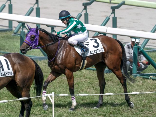 【週末情報】函館滞在組のオススメは順当にミニョンマルーン 今度こそ2勝目ゲットへ/馬三郎のつぶやき