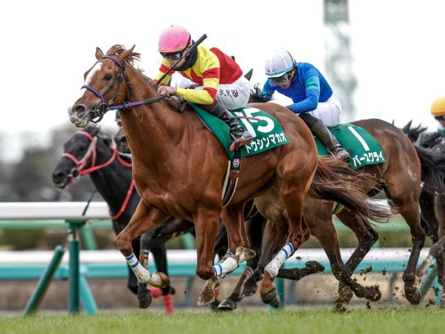 【有力馬動向】トウシンマカオがセントウルS連覇へ 阪神コースは歓迎/馬三郎のつぶやき