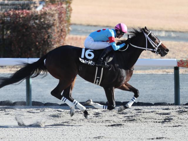 98年の2冠馬セイウンスカイが死亡 | 競馬ニュース - netkeiba