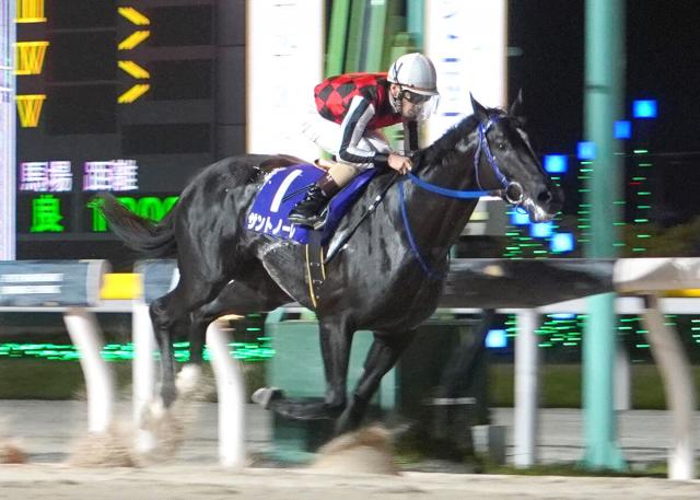 サントノーレが独走Vで重賞4勝目　船橋フリオーソLC