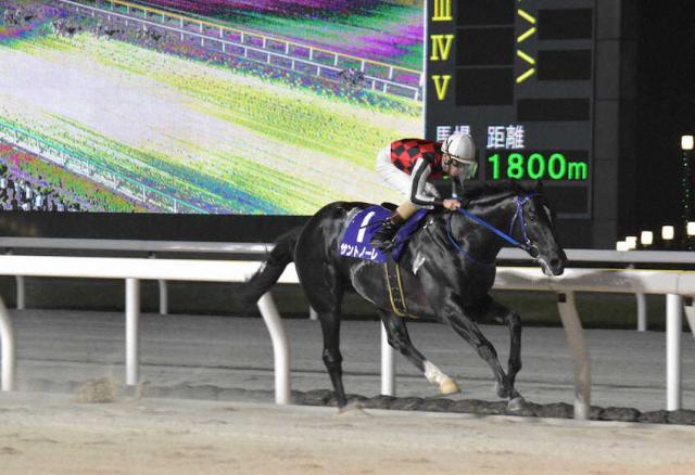 【船橋競馬　フリオーソレジェンドC】サントノーレが8馬身差完勝　勢いつけてJBCクラシックへ