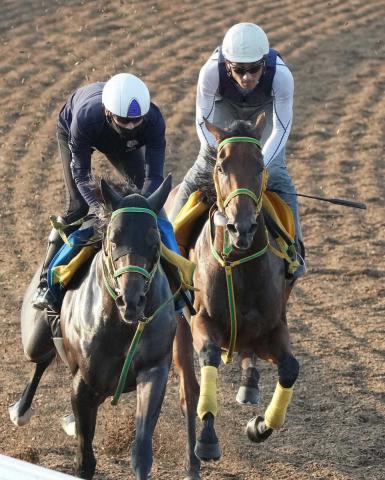 【新潟記念】シンリョクカ　竹内師動き絶賛「調教の動きは凄く良い」