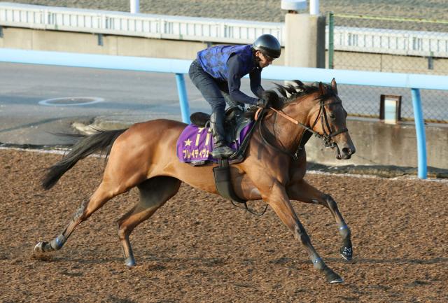 【新潟記念】「うちの厩舎は今年、夏の調子がいい」メンバー唯一のG1馬ブレイディヴェーグ、暑さ課題も鋭く11秒1