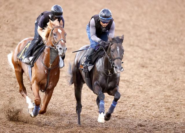 【新潟記念】無傷の3連勝馬エネルジコ、馬なりでもスピード感は十分