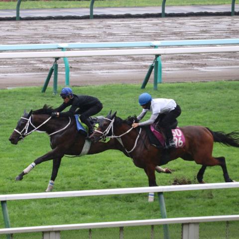 クレイグ・ウィリアムズ騎手に短期騎手免許を交付 | 競馬