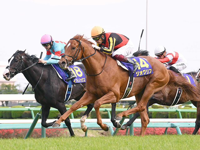 ２２年皐月賞馬・ジオグリフが現役引退　優駿ＳＳで種牡馬入りへ