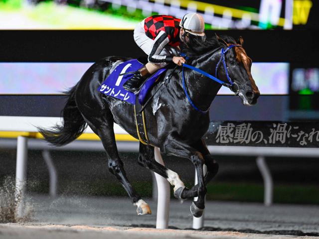 【船橋・フリオーソレジェンドC結果】サントノーレが8馬身差の圧逃劇！重賞4勝目を挙げる