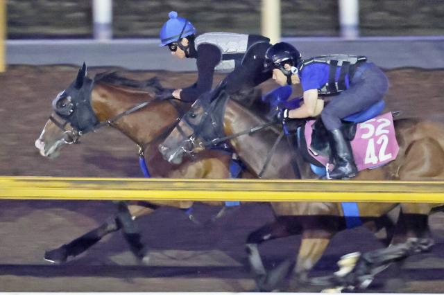 【セントウルS・1週前】ママコチャが81秒0―11秒2の好時計　約3年半ぶり騎乗の岩田望来騎手「あのときより良くなっている」