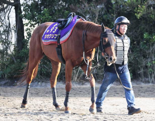 22年皐月賞馬ジオグリフが競走馬登録を抹消　種牡馬入りへ