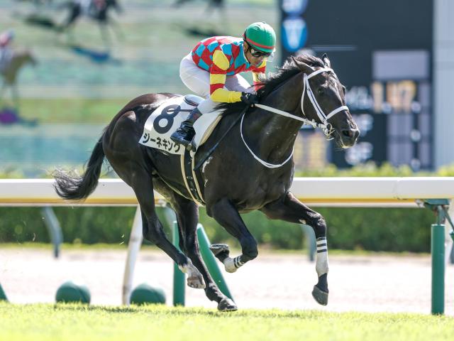【POG】キャリア豊富なジーネキング、札幌2歳Sでも楽しみな存在に/馬三郎のつぶやき