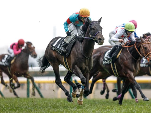 【新潟記念出走馬・騎手確定】エネルジコ＆C.ルメール騎手、クイーンズウォーク＆川田将雅騎手など17頭