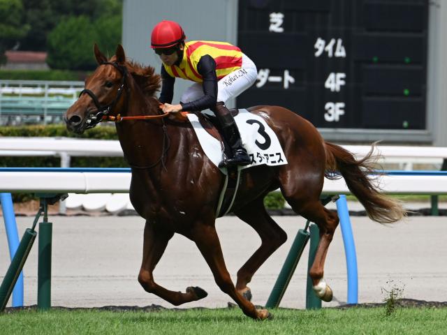 【中京2歳S出走馬・騎手確定】スターアニス＆松山弘平騎手、マイケルバローズ＆岩田望来騎手など13頭